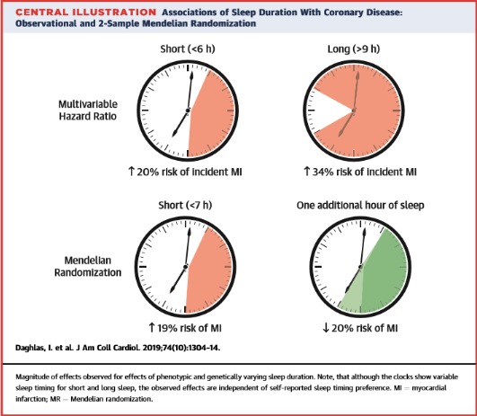 Retirado do artigo: Daghlas I, Dashti HS, Lane J, et al. Sleep Duration and Myocardial Infarction. J Am Coll Cardiol 2019; 74:1304.
